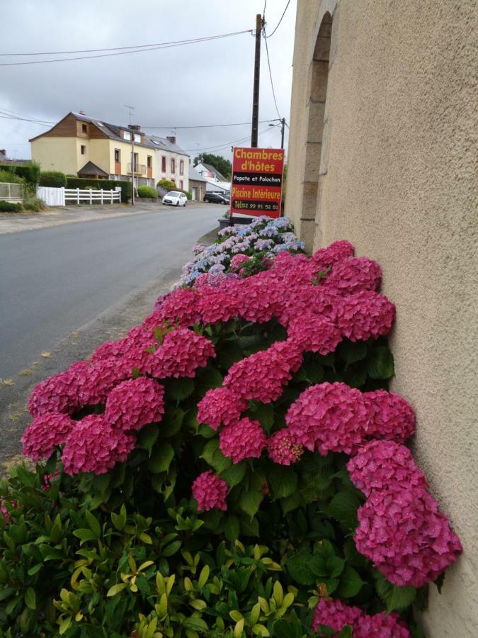 Popote Et Polochon Bed & Breakfast Saint-Martin-sur-Oust Екстериор снимка