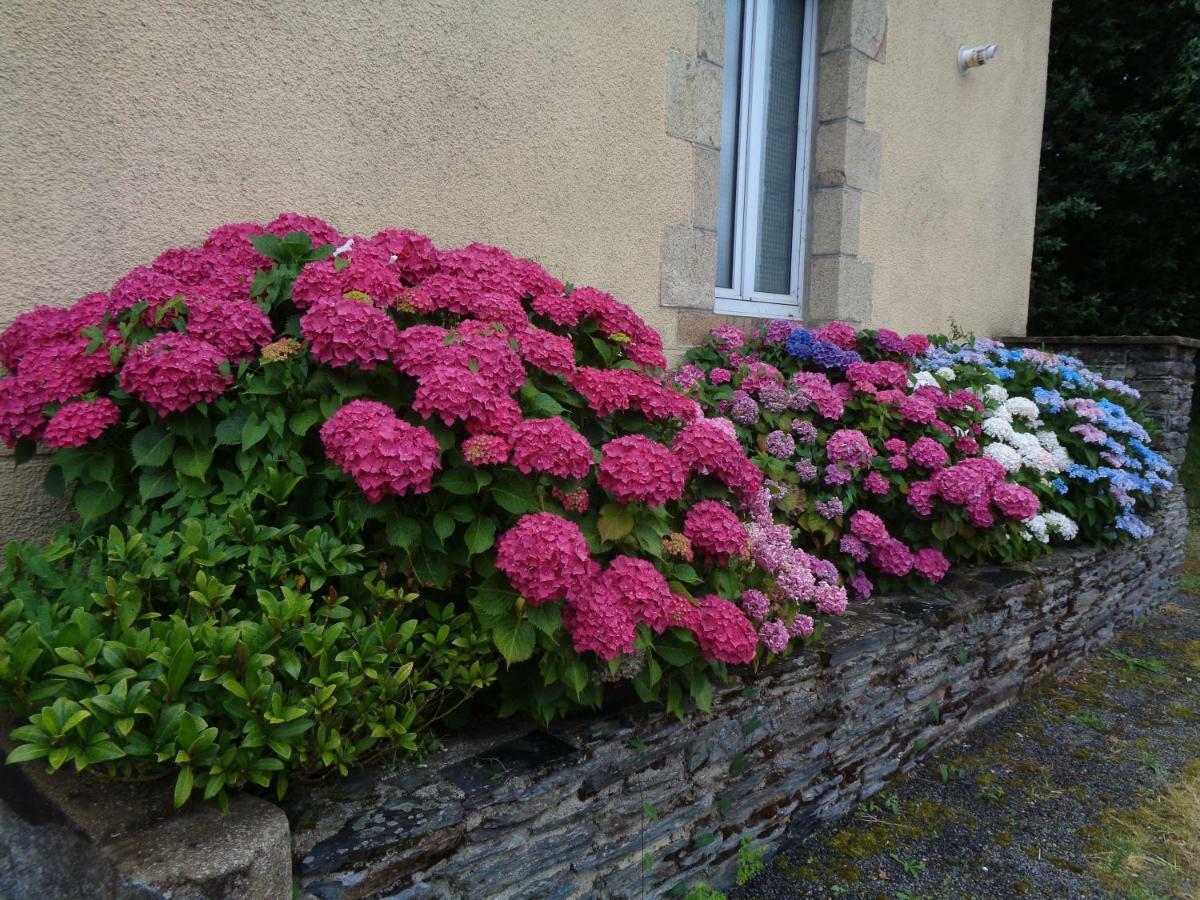 Popote Et Polochon Bed & Breakfast Saint-Martin-sur-Oust Екстериор снимка